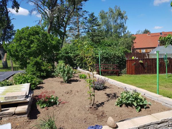 Garten Beet
